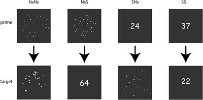 On the Difference Between Numerosity Processing and Number Processing